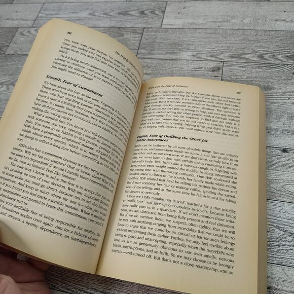 The Highly Sensitive Person in Love by Elaine Aron PhD PB - Picture 10 of 14